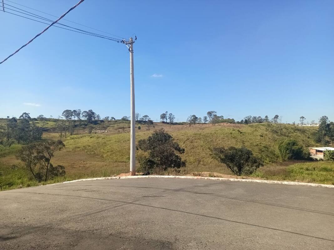 Vista verde do bairro